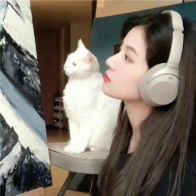 走进韩国大师